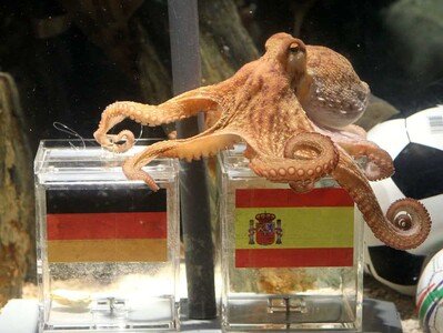  Del pulpo Paul a la inteligencia Artificial en los mundiales