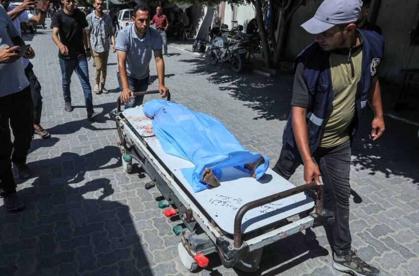  La ONU acusa a Israel de matar “deliberadamente” a los niños palestinos para ejecutar su plan genocida en Gaza
