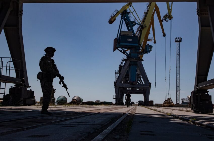  La UE estudia sancionar a Israel por comprar a Rusia grano robado en Ucrania