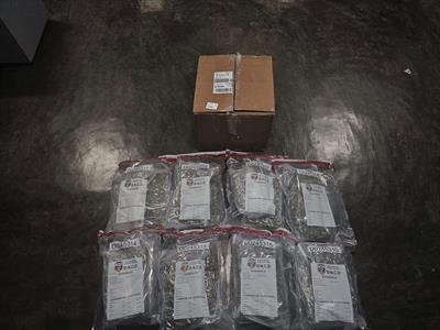  Decomiso de 15 paquetes de marihuana en AILA por la DNCD