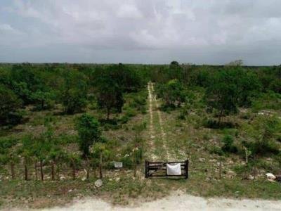  Caso del Aeropuerto de Bávaro es referencia de derecho