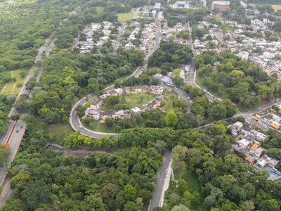  Residente en Los Jardines defiende patrimonio verde del sector