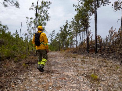  sequía golpea al Caribe: Puerto Rico declara desastre agrícola
