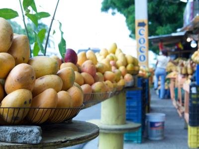  Agricultura adopta medidas para fortalecer exportaciones de mangos